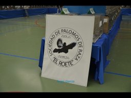 Concurso de Palomas 2012